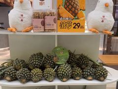 -谭厨中山传家菜.乳鸽.脆鲩鱼(华强北中航城店)