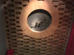 -Dragonfly悠庭·按摩Spa(新乐路店)