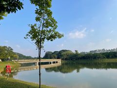 -东莞植物园