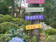 -熙古里艺术村