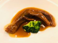 鲍汁扣鹅掌-听松楼·花园酒店·自助餐厅(红梅公园店)