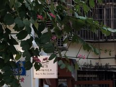 -SANYAY叁言咖啡巧克力