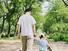 -永定河休闲森林公园