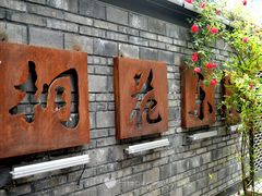 -泡桐树街