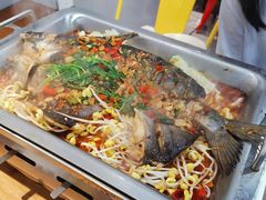 -黑猫馋纸包鱼(阳光店)