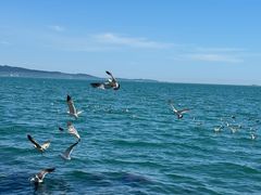 -悦海公园