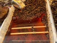 -鑫记婆婆兔·兔头(春熙店)