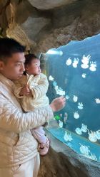 -Zoolung Zoolung动物主题公园(海信广场店)