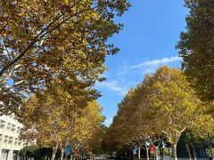 -东华大学(松江校区)