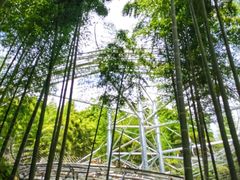 -中国大竹海景区