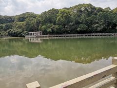 -广州市帽峰山景区