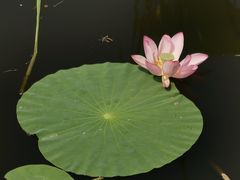 -白渔泡湿地公园