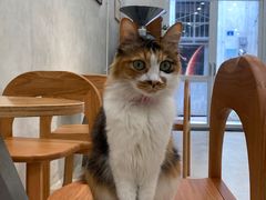 -玫瑰咖啡(中山六路店)