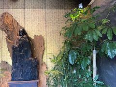 -观宴·品质赣菜(高新大道店)