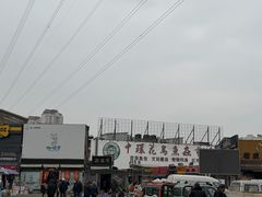 -中环花鸟鱼虫市场