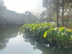 -浙江西子宾馆·瑶园咖啡厅