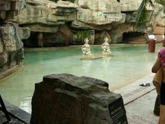 -海口观澜湖火山温泉谷