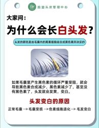 -Bollins波林丝•专研护发中心