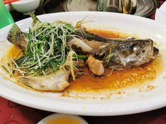 -新合益乡村农庄