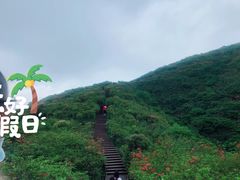-大围山国家森林公园