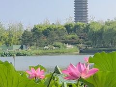 -西海子公园