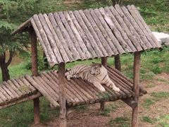 -济南野生动物世界