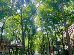 -浙江大学(玉泉校区)