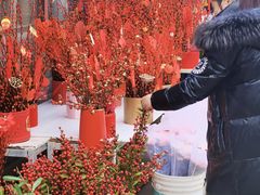 -秦美花卉(天朗·莱茵小城2期店)