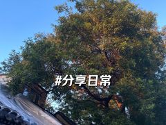 -簋街
