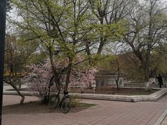 -海狮公园