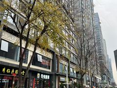 -合景·悠方(成都店)