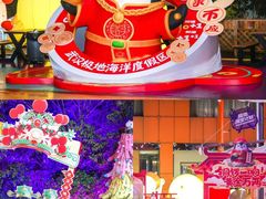 -海合安武汉极地海洋公园