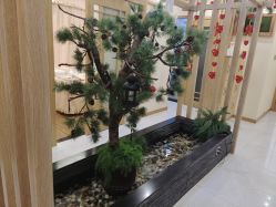 -芳朵美容养生SPA