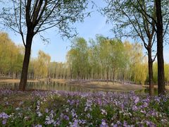 -东郊湿地公园