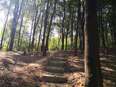 -广州市帽峰山景区