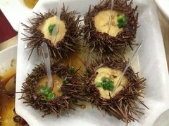 海胆蒸蛋-海岛渔村大酒店(云霄路店)