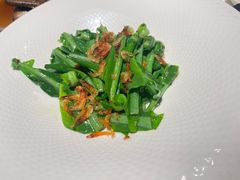 马拉盏酱樱花虾炒山苏叶-广舟(千禧店)