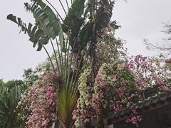 -深圳国际园林花卉博览园