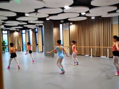 -中国宋庆龄青少年科技文化交流中心