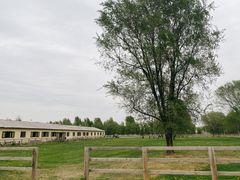 -北京群众马术培训基地