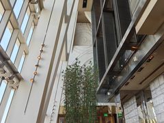 -上海柏悦酒店·世纪100牛排馆