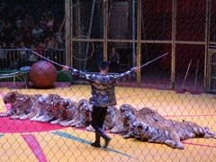 -西安秦岭野生动物园