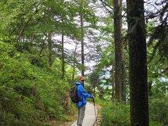-莫干山风景区