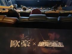 -英皇电影城(英皇集团中心IMAX店)