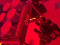 -in9音酒 Club(福田店)