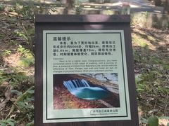 -广州白江湖森林公园