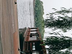 -西湖游船