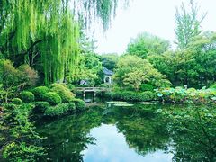 -秋霞圃