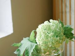 -竹子咖啡bamboo coffee