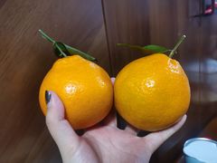 -比格比萨自助(宋家庄店)